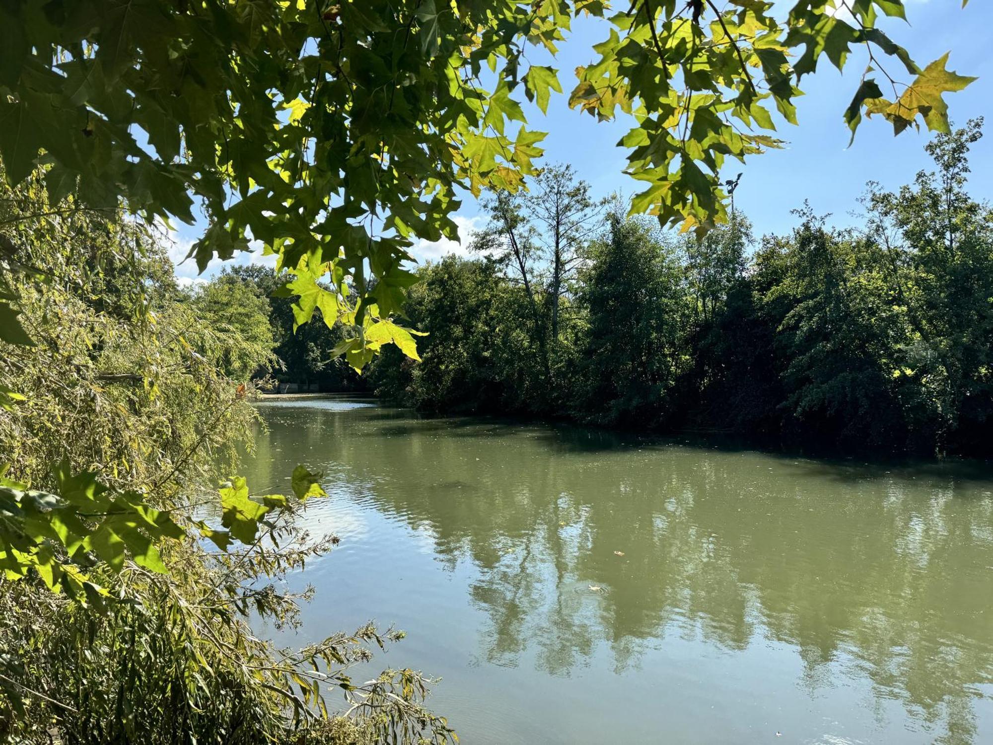 L'Abbaye De L'Epau - Jardin - Riviere Appartement Le Mans